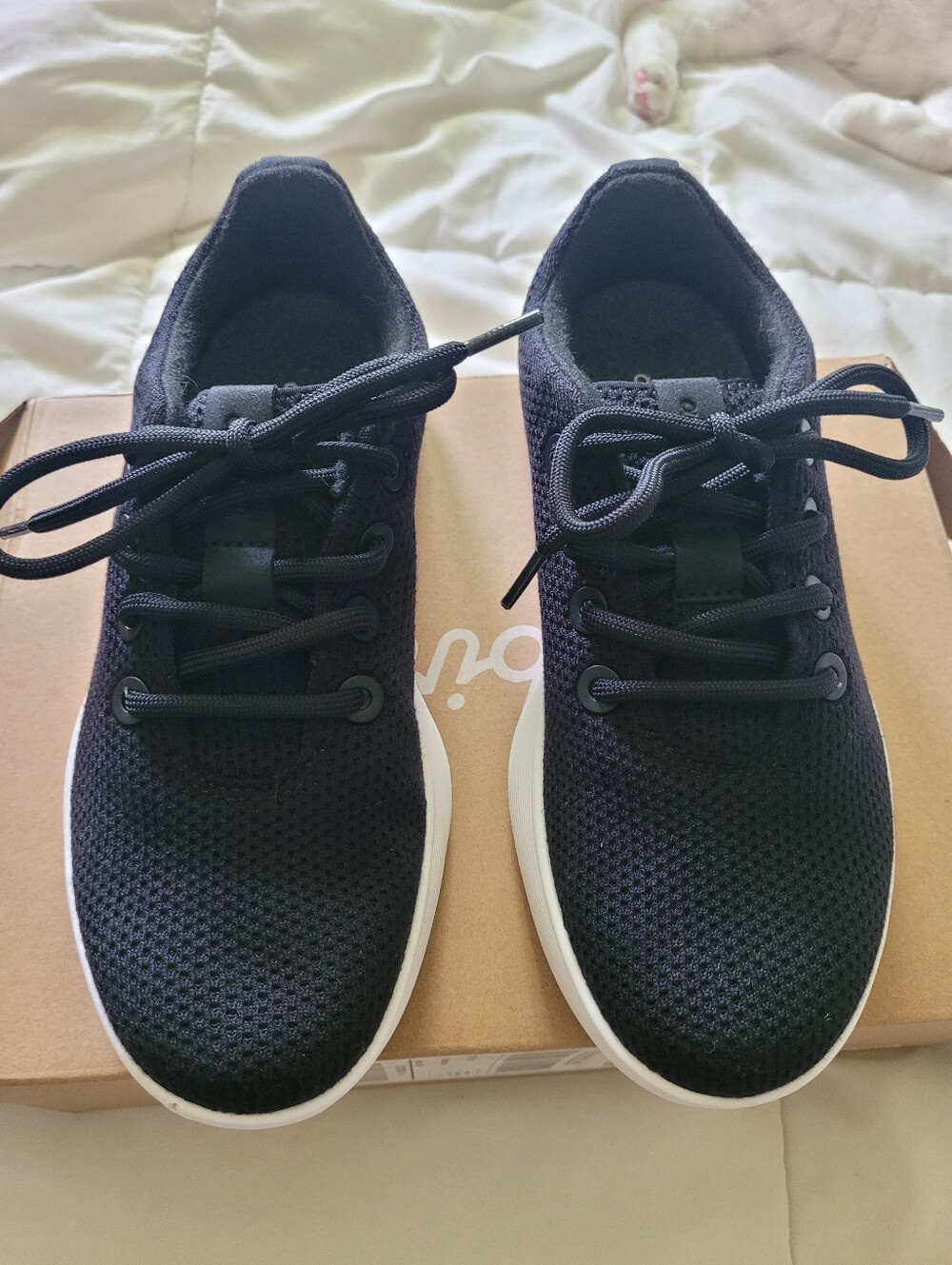 NWT Allbirds Tree Runner NZ